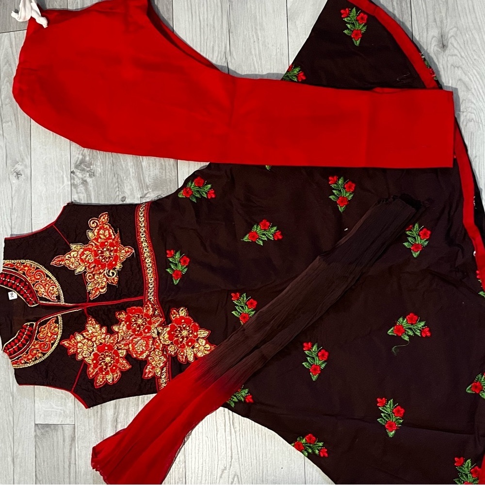 Indian Elegant Black and Red Embroidered Dress
